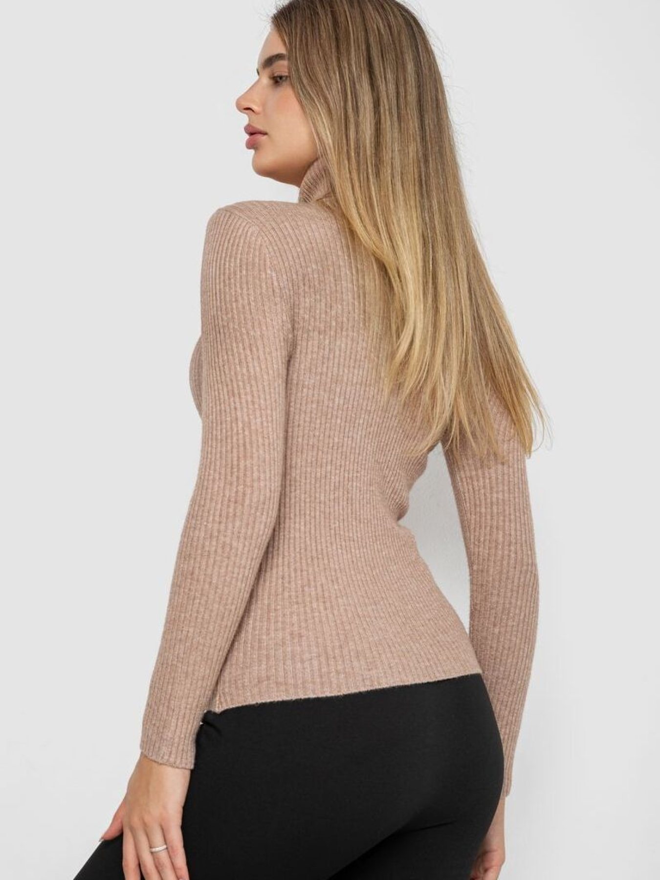 Водолазка Ager модель У-1131336::У-0000141 Фото