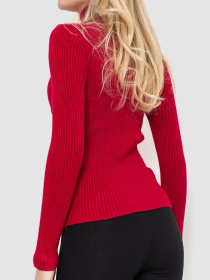 Водолазка Ager модель У-1127586::000000029 Фото