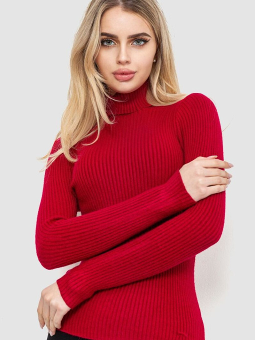 Водолазка Ager модель У-1127586::000000029 Водолазка Ager модель У-1127586::000000029 Фото