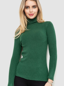 Водолазка Ager модель У-1127586::000000040 Фото