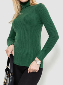 Водолазка Ager модель У-1127586::000000040 Фото