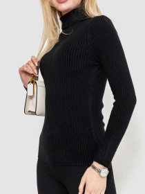 Водолазка Ager модель У-1127586::000000096 Фото