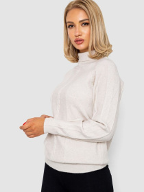 Водолазка Ager модель У-1130282::010001505 Фото