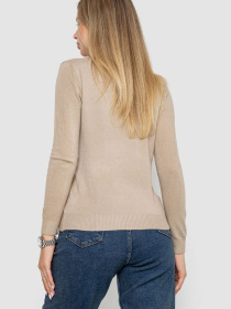 Водолазка Ager модель У-1131339::000000023 Фото