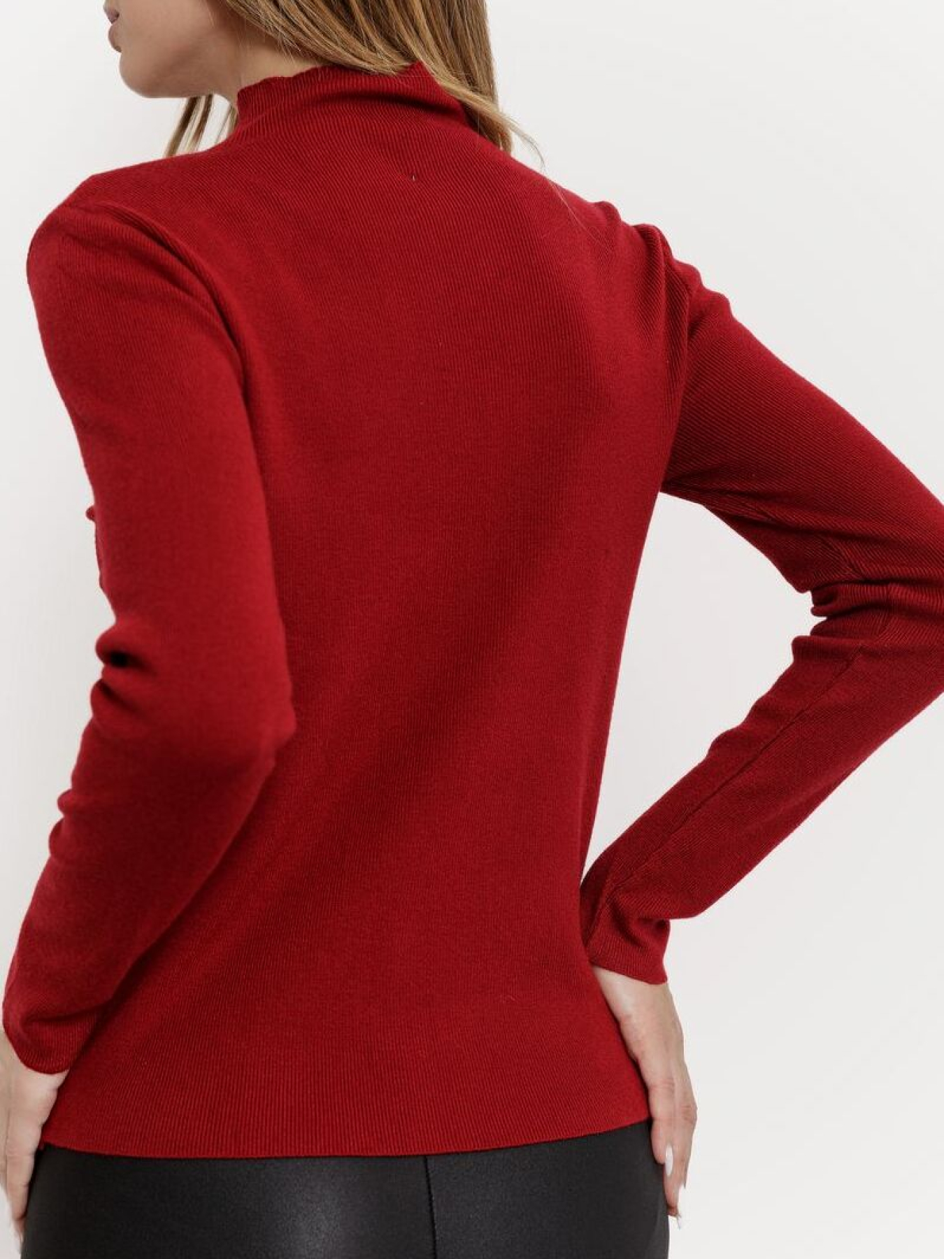 Водолазка Ager модель У-1121113::000000029 Фото