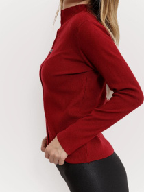 Водолазка Ager модель У-1121113::000000029 Фото