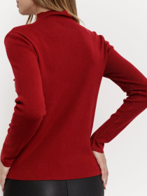 Водолазка Ager модель У-1121113::000000029 Фото