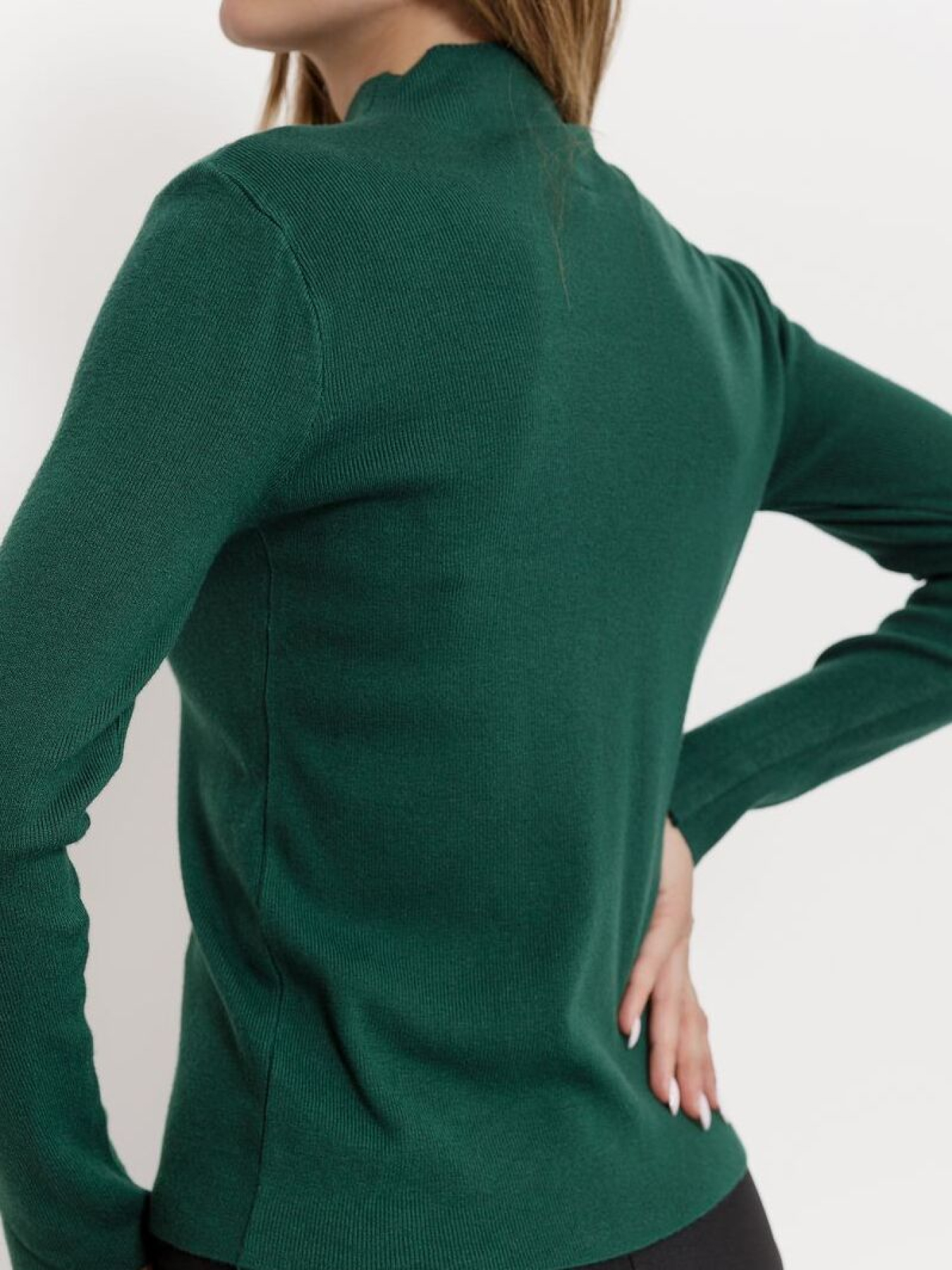 Водолазка Ager модель У-1121113::000000040 Фото