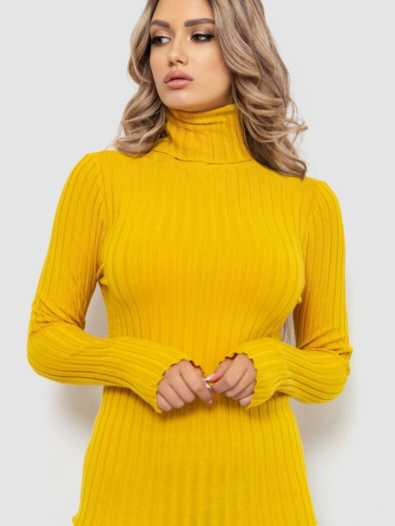 Водолазка Ager модель У-1126208::000000036 Фото