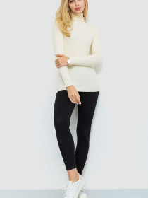 Водолазка Ager модель У-1126208::010002075 Фото