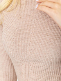 Водолазка Ager модель У-1126207::000000023 Фото