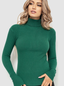 Водолазка Ager модель У-1126207::000000040 Фото