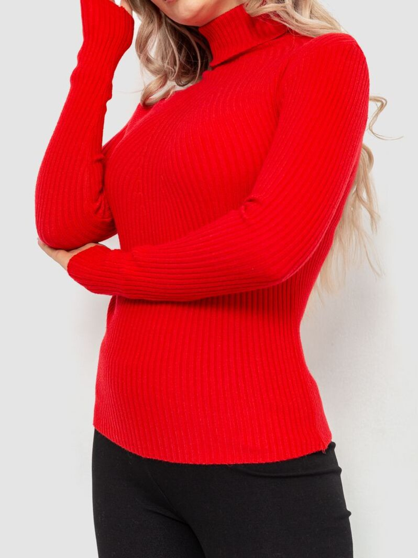 Водолазка Ager модель У-1126207::000000050 Фото