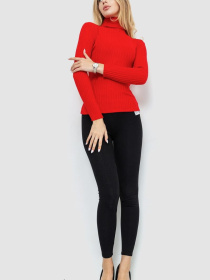 Водолазка Ager модель У-1126206::000000050 Фото