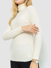 Водолазка Ager модель У-1126206::010002075 Фото