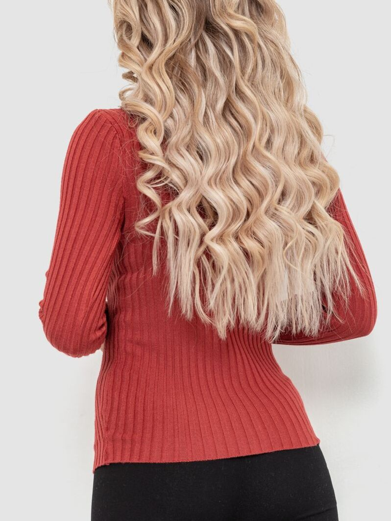 Водолазка Ager модель У-1126206::000000238 Фото