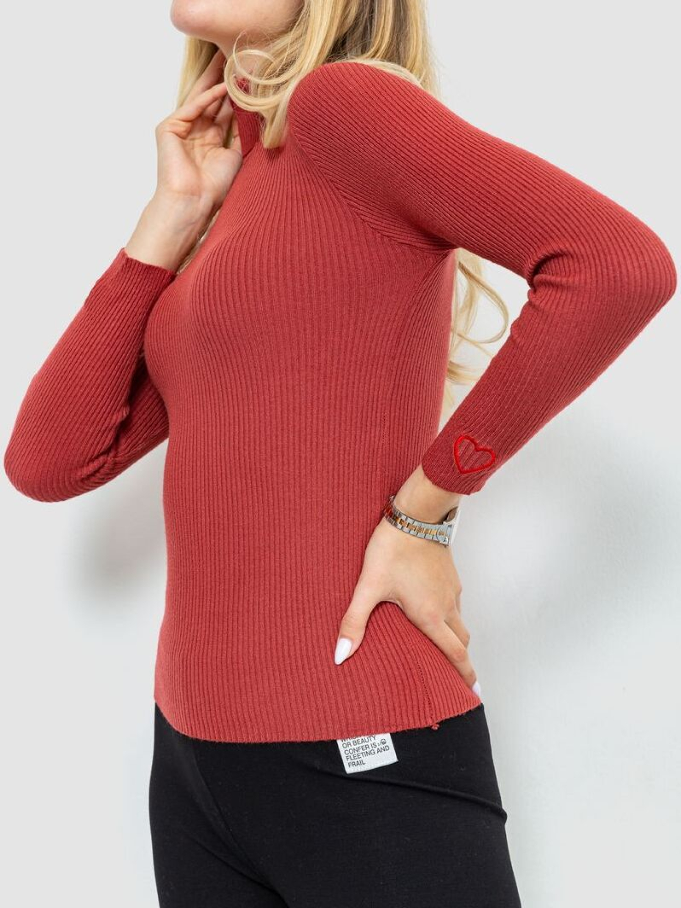 Водолазка Ager модель У-1126203::000000238 Фото