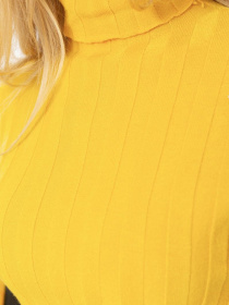 Водолазка Ager модель У-1126217::000000036 Фото