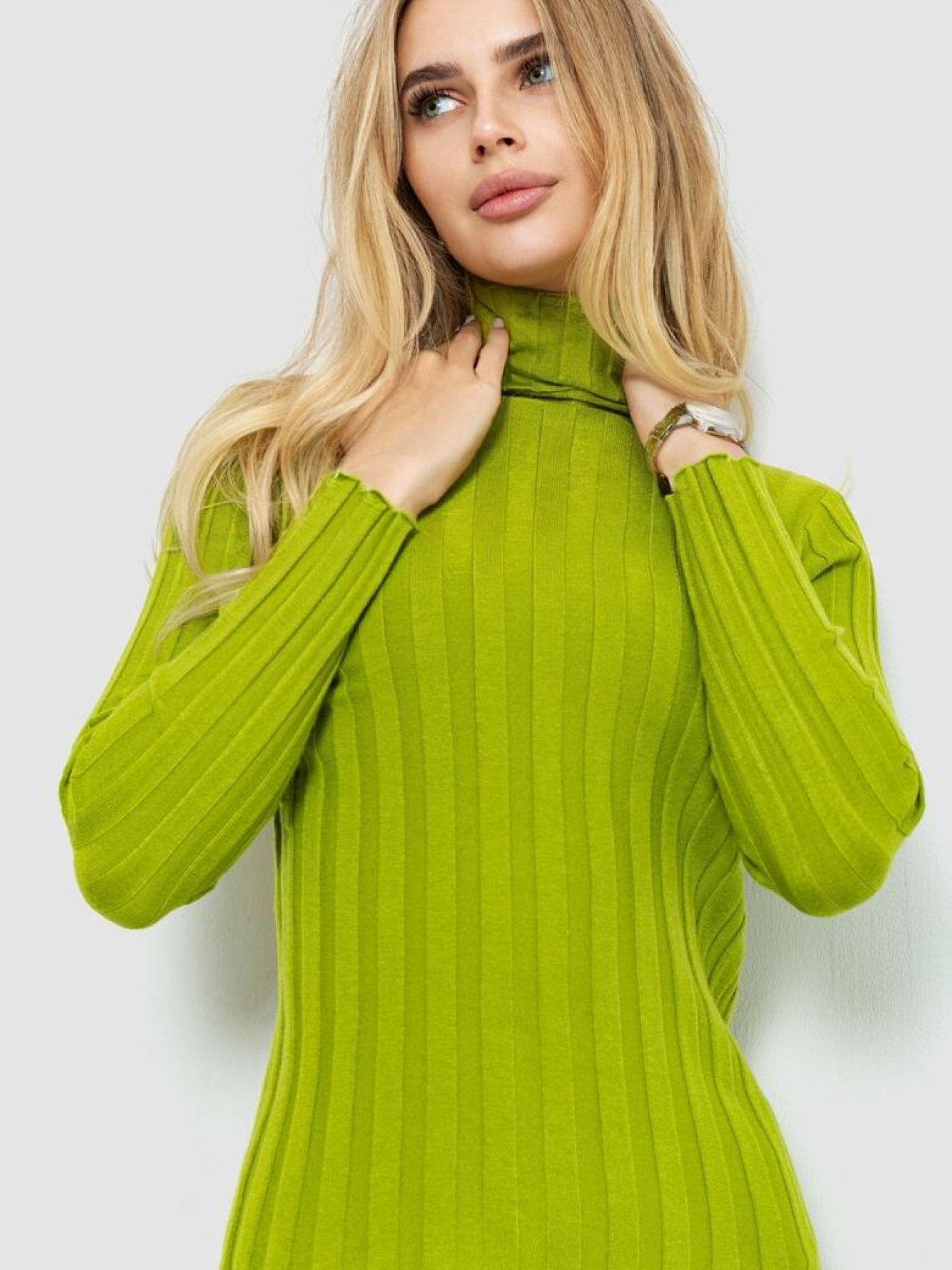 Водолазка Ager модель У-1126217::000000068 Фото