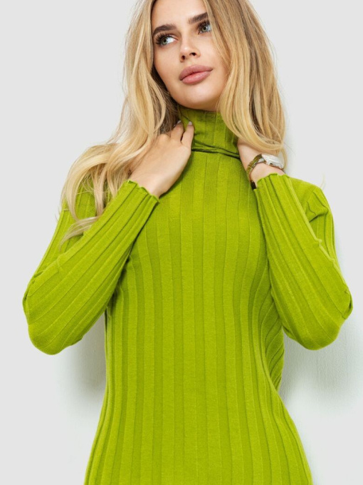 Водолазка Ager модель У-1126217::000000068 Фото