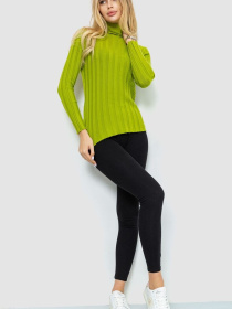 Водолазка Ager модель У-1126217::000000068 Фото