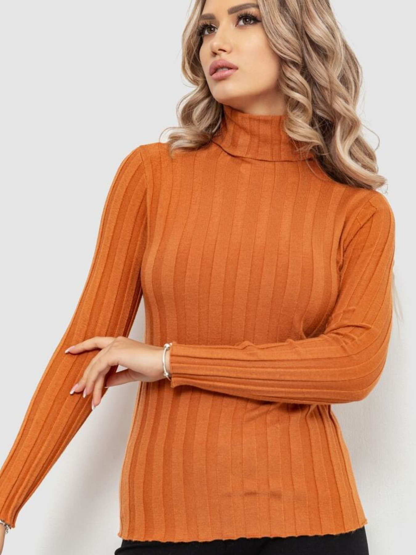 Водолазка Ager модель У-1126217::000000092 Водолазка Ager модель У-1126217::000000092 Фото