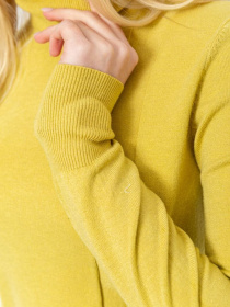 Водолазка Ager модель У-1127073::000000036 Фото