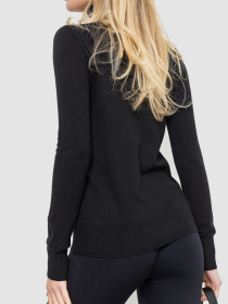 Водолазка Ager модель У-1127073::000000096 Фото