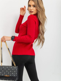 Водолазка Ager модель У-1121678::000000029 Фото