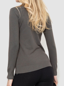 Водолазка Ager модель У-1127590::000000087 Фото