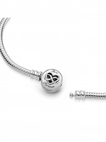 Для шармів PANDORA Moments Модель 599365C00 Фото