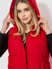 Жилет с утеплителем Ager модель У-1128423::000000050 Фото