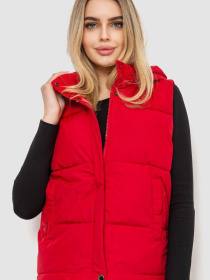 Утеплений жилет Ager модель У-1128423::000000050 Утеплений жилет Ager модель У-1128423::000000050 Фото