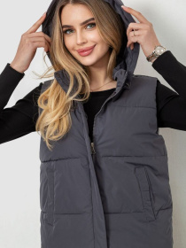 Жилет с утеплителем Ager модель У-1128423::000000072 Фото