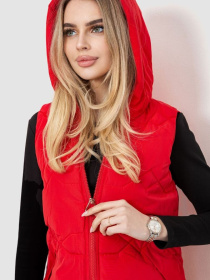 Утеплений жилет Ager модель У-1128415::000000050 Утеплений жилет Ager модель У-1128415::000000050 Фото