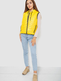 Жилет с утеплителем Ager модель У-1130730::000000039 Фото