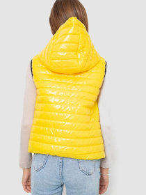 Жилет с утеплителем Ager модель У-1130730::000000039 Фото