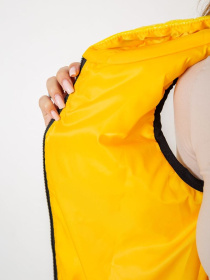 Жилет с утеплителем Ager модель У-1130730::000000039 Фото