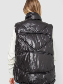 Жилет с утеплителем Ager модель У-1130657::000000096 Фото