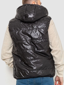 Жилет с утеплителем Ager модель У-1126034::000000096 Фото