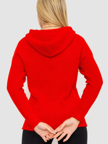 Худі Ager модель У-1127573::000000050 Фото