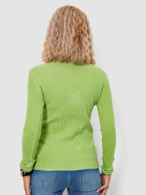 Джемпер Ager модель У-1127578::000000068 Фото