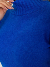 Водолазка Ager модель У-1127574::000000254 Фото