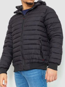 Демисезонная куртка Ager модель У-1128135::000000096 Фото