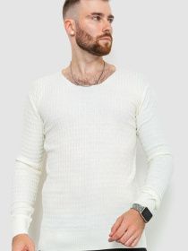 Джемпер Ager модель У-1126152::000000060 Фото