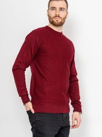 Джемпер Ager модель У-1121741::000000029 Фото