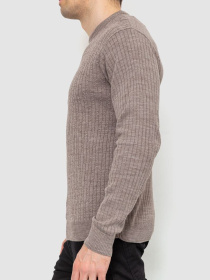 Джемпер Ager модель У-1121742::У-0000141 Фото