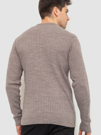 Джемпер Ager модель У-1121742::У-0000141 Фото