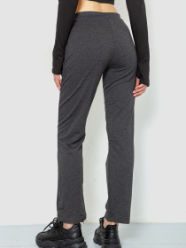 Штаны спортивные Ager модель У-1128874::000000087 Фото