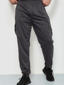 Штаны спортивные Ager модель У-1128330::000000087 Фото